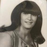 Wendy Arlene Lester Obituary (2024)