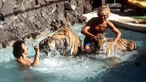While working on a cruise ship, he met siegfried, and. Odkixedrnk7tgm