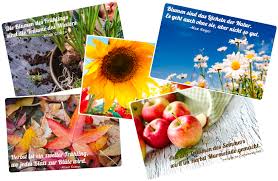 Spruche Zum Nachdenken Die Besten Gartenspruche