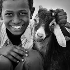 Stream لا نحتاج المال