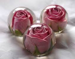 We did not find results for: Array Of Beautiful Paperweights How To Preserve Flowers Wedding Flowers Wedding Keepsakes