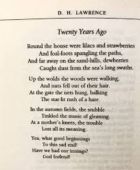 D H Lawrence Twenty Years Ago Agenda For Humanity Quotations Poetry Poem D H Lawrence