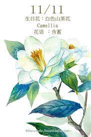 每日一花11 1 haru hello floral watercolor artwork painting watercolor flowers