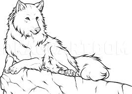 Looking for the best cool anime wolf wallpapers? How To Draw A White Wolf Step By Step Drawing Guide By Dawn Dragoart Com