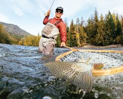 Recreational saltwater fishing regulations the recreational saltwater fishing regulations table is up to date as of april 23, 2021. The 2021 23 Freshwater Fishing Regulations Synopsis Bc Outdoors Magazine