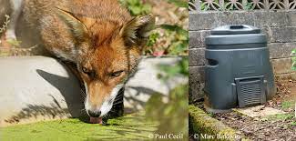 We did not find results for: Deterring Foxes Wildlife Online
