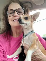 Miniature horse for sale in Kentucky