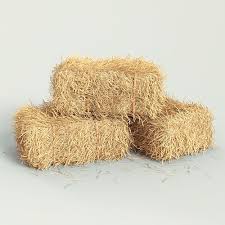 3d Hay Bale Cgtrader