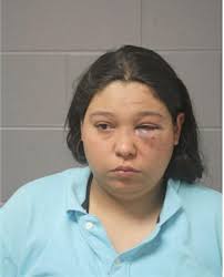 ᐅ Illinois Criminal Records 2009-2026