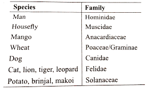 The Species Man Housefly Mango Wheat Dog Cat Lion Tiger P