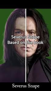 Book Snape Art