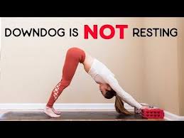 Downdog Is Not A Resting Pose Youtube Downdog Poses Yoga