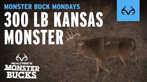 When is the whitetail deer rut in missouri? 300 Lb Whitetail From Kansas Ben Mcdonald Monster Bucks Mondays Youtube