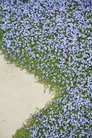 Check spelling or type a new query. Farrar Road Kirsten Sach Landscape Design Ltd
