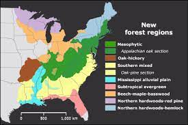 Deciduous Forest Location Map Eastern Deciduous Forest (U.s. National Park Service)