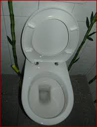 Sie bauten einfache nebengebäude oder latrinen direkt über dem fließenden wasser der abwasserkanäle, die in den tiber mündeten. Heute Ist Welttoilettentag Heimatreport