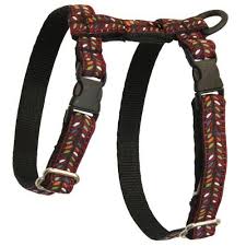 Rc Pet Products 12inch Kitty Harness Small Bracken Check This Awesome Product By Going To The Link At The Image This Is An Amazon Af Cat Harness Pets Kitty