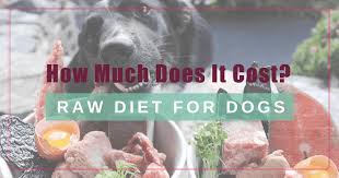 You'll also need to know the number of calories in the specific dog food you're feeding him. How Much Does It Cost To Feed My Dog A Raw Diet Boulder Holistic Vet