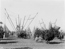 357 e arrow hwy ste 205, san dimas, ca 91773. Commercializing Chemical Warfare Citrus Cyanide And An Endless War Springerlink