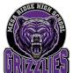 Mesa Ridge Grizzlies vs Falcon Falcons event image