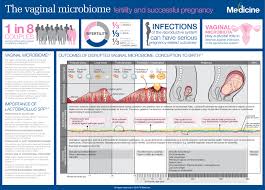 Pin On Infographics