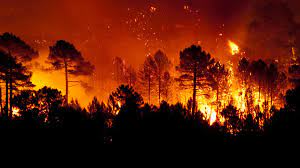 Todas las noticias sobre incendios en cadena ser: Por Que Ahora Hay Mas Incendios Y Son Mas Peligrosos