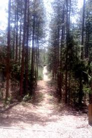 Limpe todos os filtros ou confira as sugestões do tripadvisor. Turkey Point Trails Norfolk County Tourism