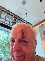 Ric Flair, The Nature Boy