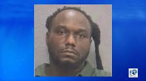 Cold case investigation leads to guilty plea in Michelle McClendon murder