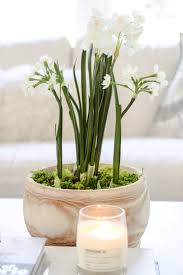Morning coffee and beautiful pink peony flowers on white stone table top view in flat lay style. Spring Coffee Table Styling With A Diy Bulb Arrangement Modern Glam