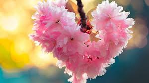 High resolution spring full hd. Flower 3d Nature Wallpaper Hd 1080p Free Download Wallpapershit