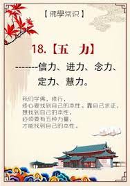 18 五力 信力 进力 念力 定力 慧力 1 信力就是切实相信的力量 信力是很 重要的 信为道源功德母 道源功德母就是有一个信力 相信一个事情一定