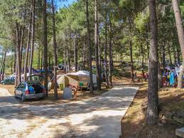 La cathédrale de nebbio, la citadelle (2 km), la tour de mortella (6 km), oletta (9 km), l'église san michel à murato (16 km), nonza (20 km) st florent est accessible par le bord de mer ce qui est très agréable. Camping La Pinede St Florent Camping In Corsica