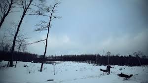 Escape from tarkov map genie. Skidrow Reloaded Home Facebook