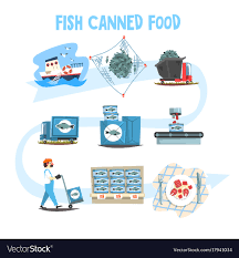 Fish Canned Food Set Fish Industry Canned Process