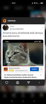 denicem lan jahdjsshs 2021 komik seyler komik capsler komik