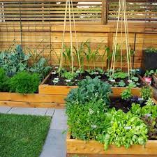Pin By Bunnie Horne On Garden Vegetable Garden Layout Small Garden Layout Vegetable Vegetable Garden Planning