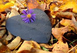 Va bucurati de momente frumoase si placute alaturi de persoana iubita. Horoscopul Dragostei In Luna Noiembrie 2017 Pestii Se Despart Capricornii Se Casatoresc