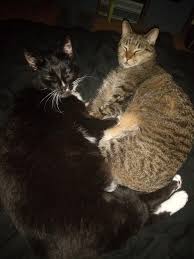 Evy V (@evyv99) • Threads, Say more