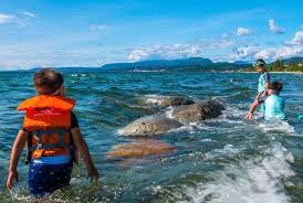 Bc Ferry: Powell River/Comox/Texada Island – Vancouver Island News, Events,  Travel, Accommodation, Adventure, Vacations