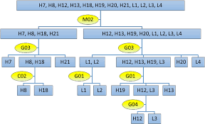 The Flow Chart For Identifying 12 Prevailing Tea Cultivars