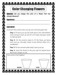 Get your left over flowers from mother's day or even just some flowers. Color Changing Carnations Worksheets Teaching Resources Tpt