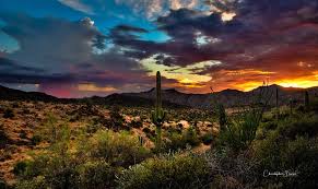 Best b&bs in page, az. Desert Rose Bed And Breakfast Home Facebook