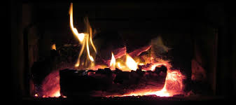 The big list of thing to do on the gold coast & hinterland. Handy Tips For Collecting Firewood Good Living