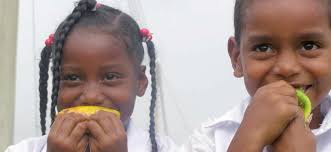 INFORME AL CONGRESO DE LA REPÚBLICA