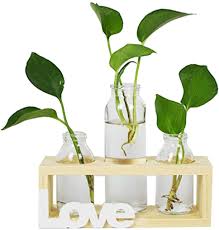 Questa mini fioriera per piante grasse, cactus o qualsiasi altra pianta porterà toni di intimità a casa tua! Vasi Cilindro Di Vetro Vaso Di Vetro Desktop Bulbiera Con Retro In Legno Massello Stand Per Piante Idroponiche Arredamento Giardino Di Casa Home Casa E Cucina Decorazioni Per Interni Nsb Group Com