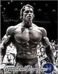 Arnold schwarzenegger dream was always to become the greatest bodybuilder of the world which means mr. Biografie Von Arnold Schwarzenegger Beruhmter Schauspieler Und Bodybuilder Filme 2021