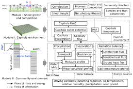 Helpful test taking strategies detailed content review questions for regents practice six actual new york regents examinations isbn: Bg Modelling The Habitat Preference Of Two Key Sphagnum Species In A Poor Fen As Controlled By Capitulum Water Content