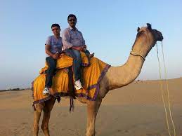 The sam sand dunes in rajasthan are easily the most stunning sites which should be visited around the stunning city of jaisalmer. Camel Ride On Sam Sand Dunes Picture Of Royal Desert Camp Jaisalmer Jaisalmer Tripadvisor