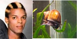 Snail Shell broke. Will he live?